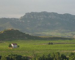 La Rioja_3